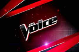 The Voice S11E02