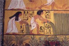 Pre Dynastic Egypt PROPHET