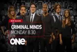Criminal Minds Season 12 Episode 8